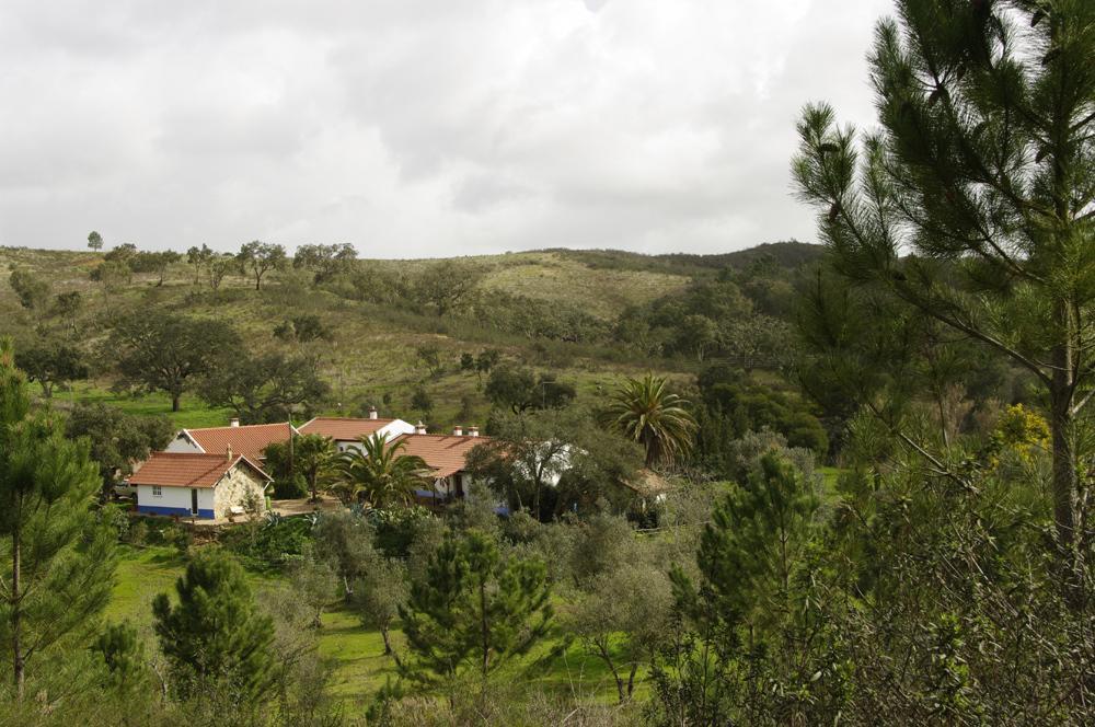 Monte Da Gravita Ribeira do Salto Стая снимка
